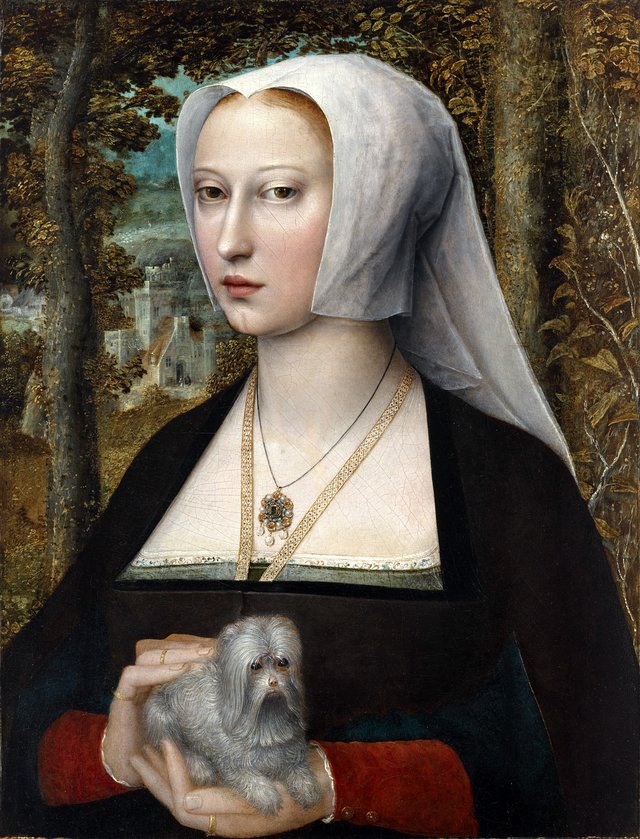 Portrait of a lady, half-length, with a dog by Adriaen Isenbrandt