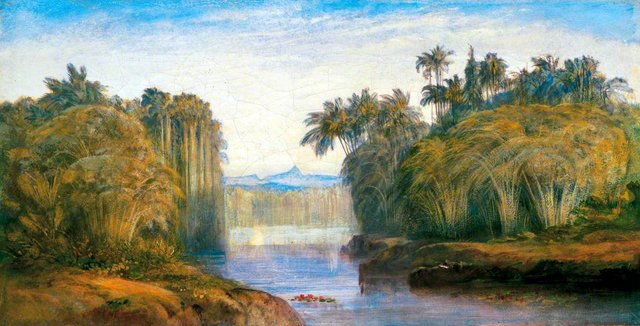A View of Adam's Peak, Ceylon by Edward Lear
