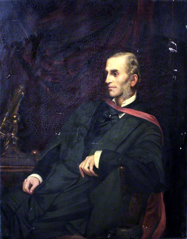 Wilson Fox (1831–1887) by Valentine Cameron Prinsep