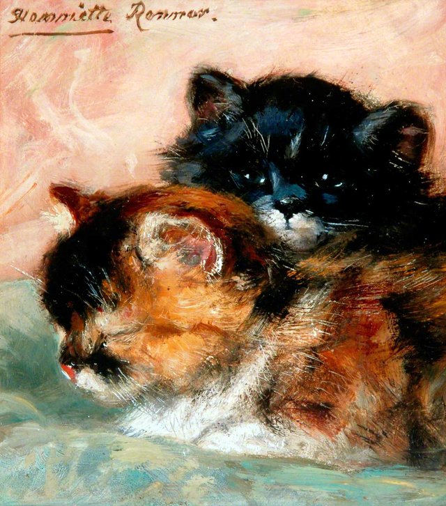 Cat Study by Henriëtte Ronner-Knip