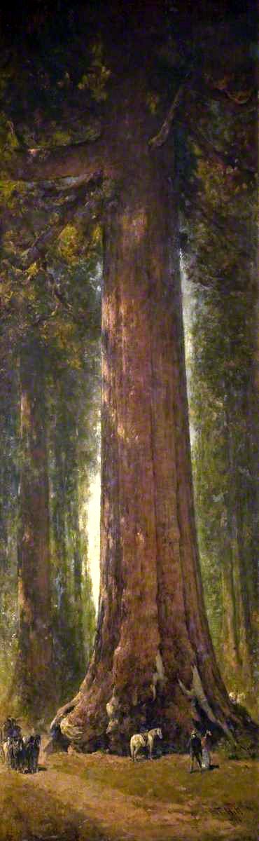 'Grizzly Giant' Tree, Mariposa Grove, Yosemite by Thomas Hill