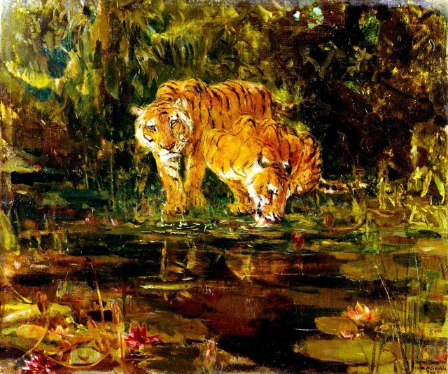 Tigers Drinking by John Macallan Swan