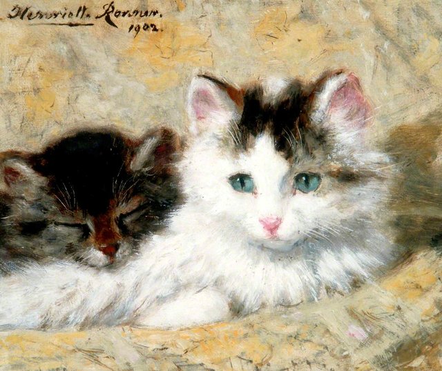 Cat Study by Henriëtte Ronner-Knip