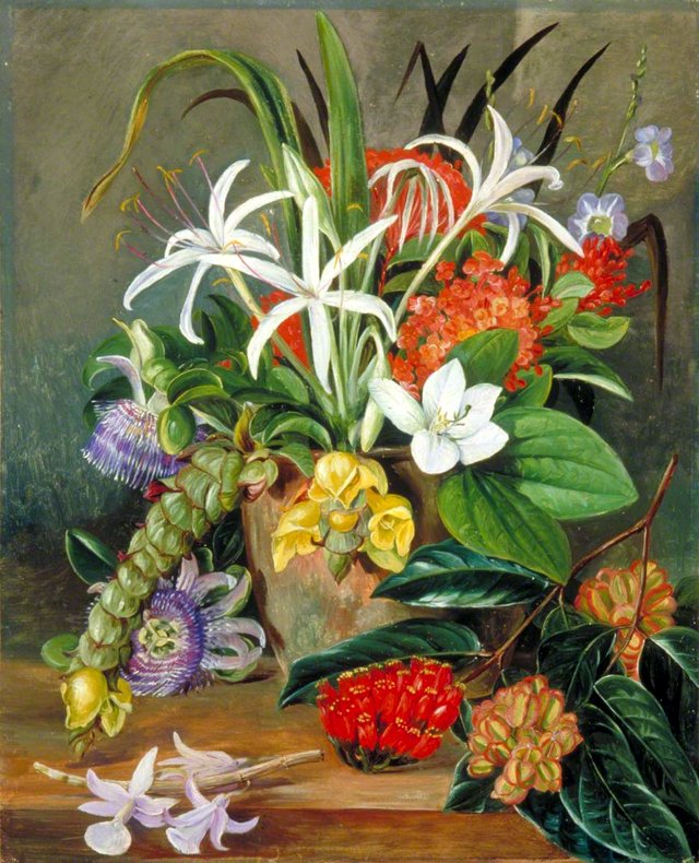 Group of Cultivated Flowers by Marianne North