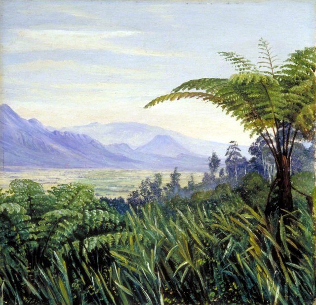 Tree Fern in the Preanger Mountains, Java by Marianne North