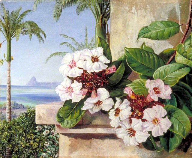 Foliage and Flowers of a Climbing Plant with Royal Palms and Sugarloaf Mountain in the Background, Brazil by Marianne North