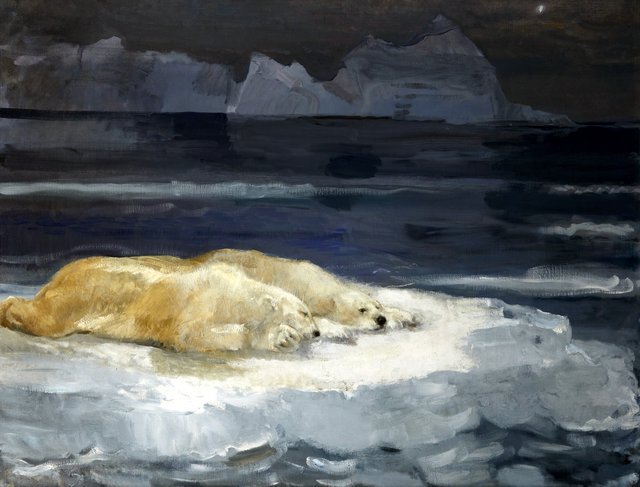 The Cold North by John Macallan Swan