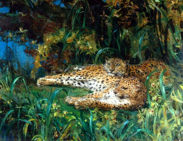 Indian Leopards by John Macallan Swan