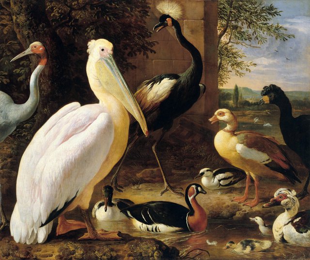 Pelican, crowned crane, curassow, sarus crane and ducks in a river landscape by Melchior d'Hondecoeter