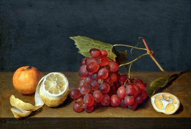 Still life with a bunch of grapes and a peeled lemon on a ledge by Jacob van Hulsdonck