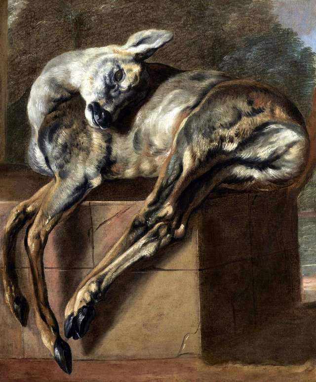 Dead deer on a stone pedestal by Pieter Boel