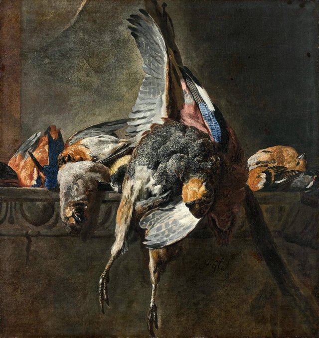 A partridge, a jay and a kingfisher on a ledge by Pieter Boel