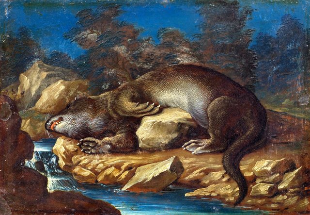 Lying otter on a rocky shore by Jan van Kessel the Elder