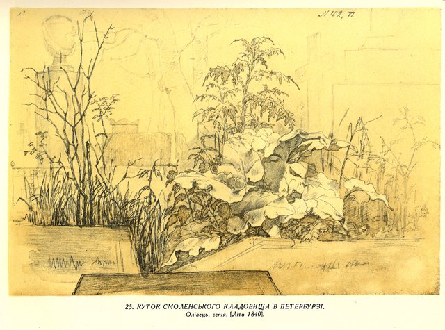 Corner of Smolensk cemetery in St. Petersburg by Taras Shevchenko