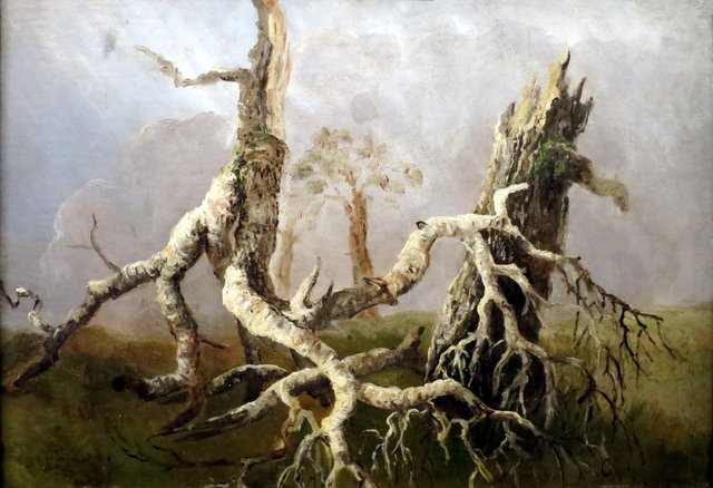 Dying Trees by August Cappelen