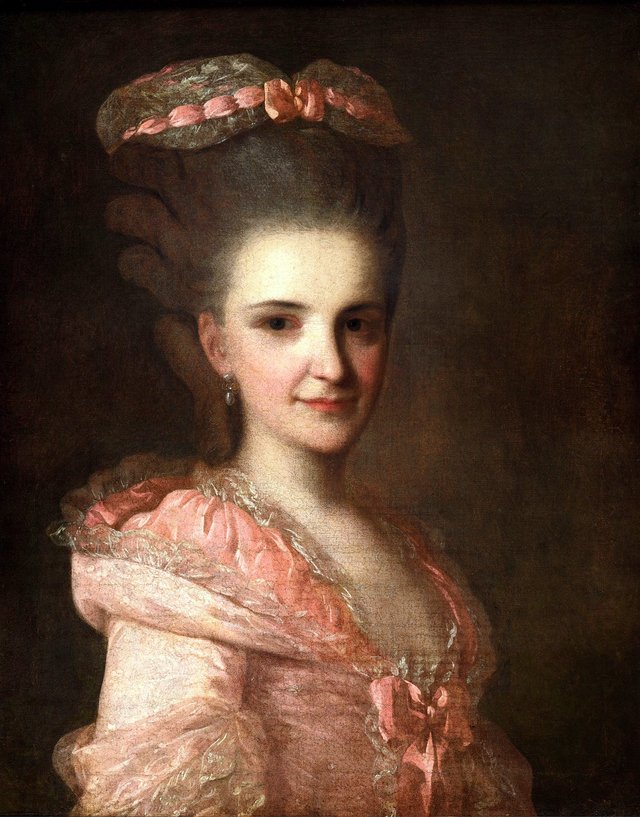 Portrait of an unknown Lady in a pink dress by Fyodor Rokotov