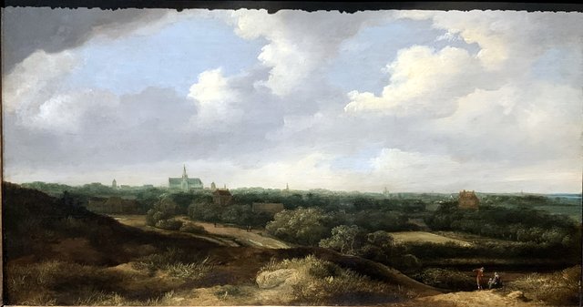 View of Haarlem from the South by Jan Vermeer van Haarlem the Elder
