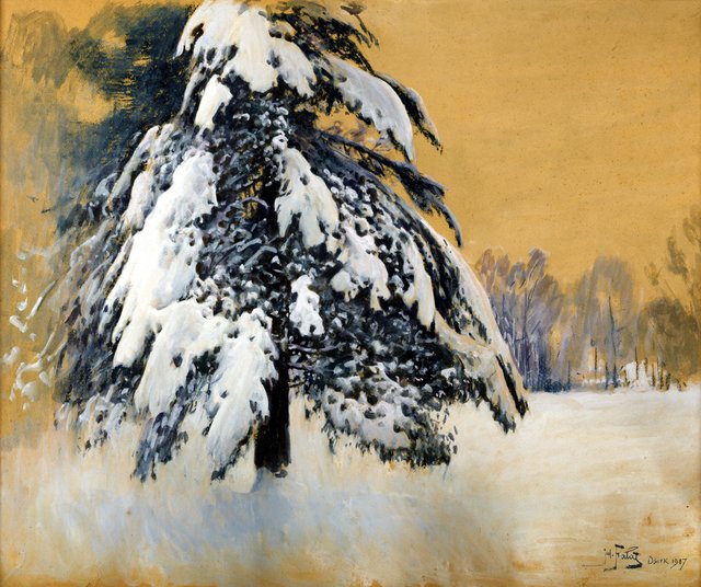Cap of snow by Julian Fałat
