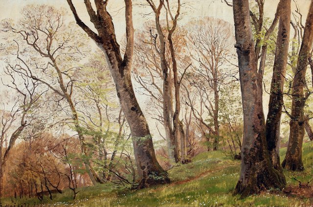 From a forest glade. by Janus la Cour