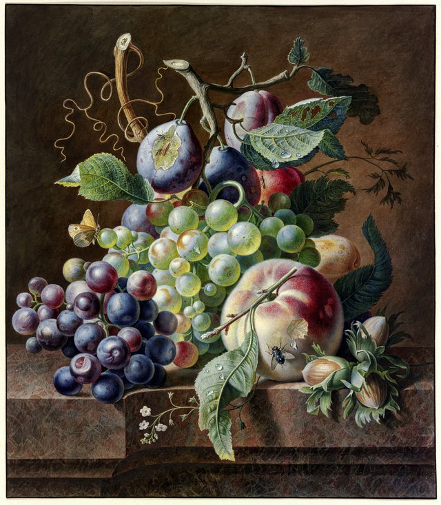 Fruit still life with hazelnuts by Jan van Huysum