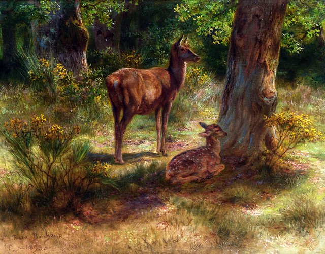 Deer and fawn in a wood by Rosa Bonheur