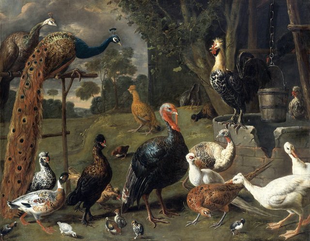 Peacock and peahen on a perch, turkeys, a pheasant and poultry by a well by Adriaen van Utrecht