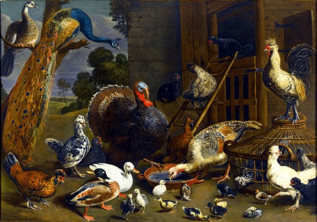 Variety of birds including a peacock, turkey, chickens, and ducks with their young drinking, playing and pecking about in a yard by Adriaen van Utrecht