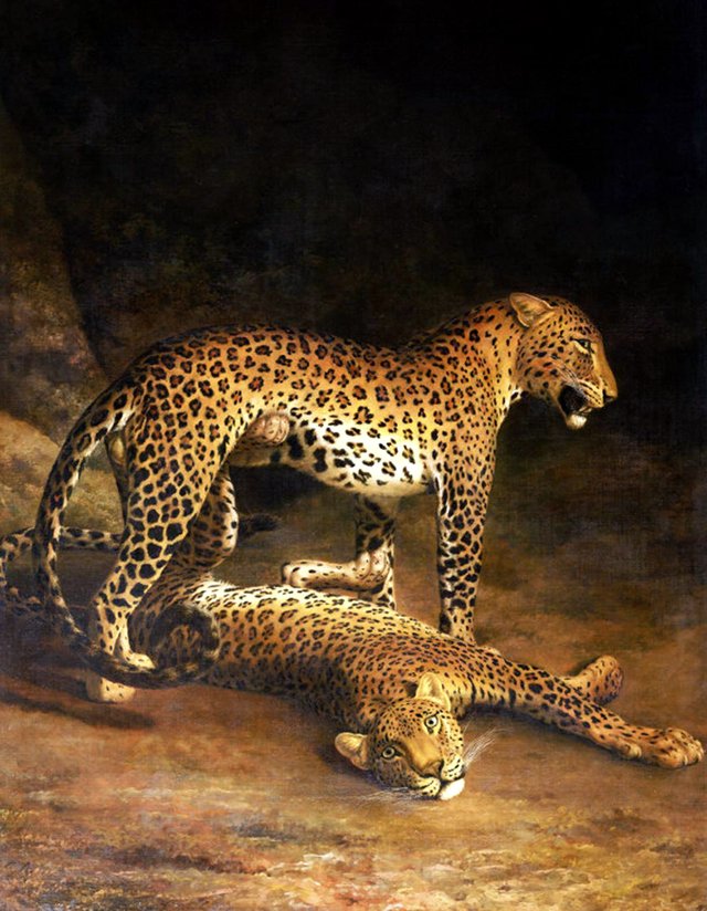 Two Leopards Lying in the Exeter by Jacques-Laurent Agasse