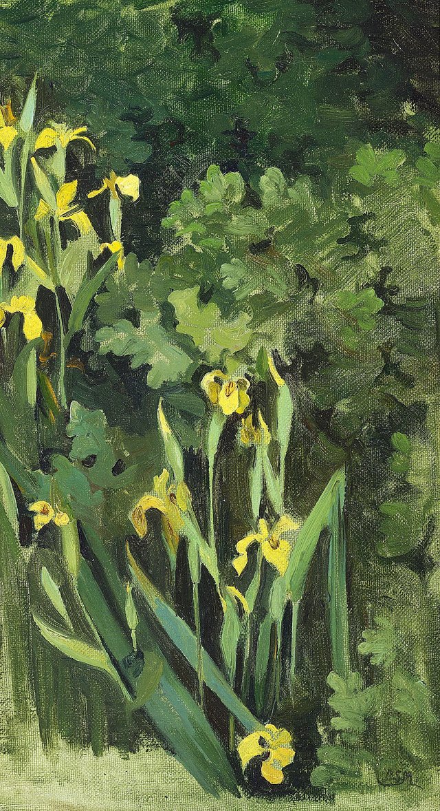 Yellow iris. by Agnes Slott-Møller