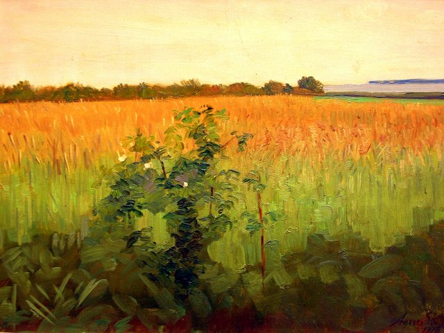 Fields. by Agnes Slott-Møller