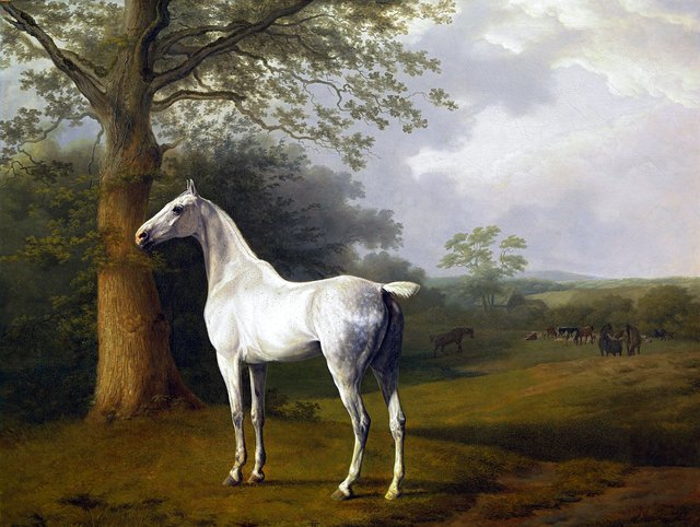Gray horse in pasture by Jacques-Laurent Agasse