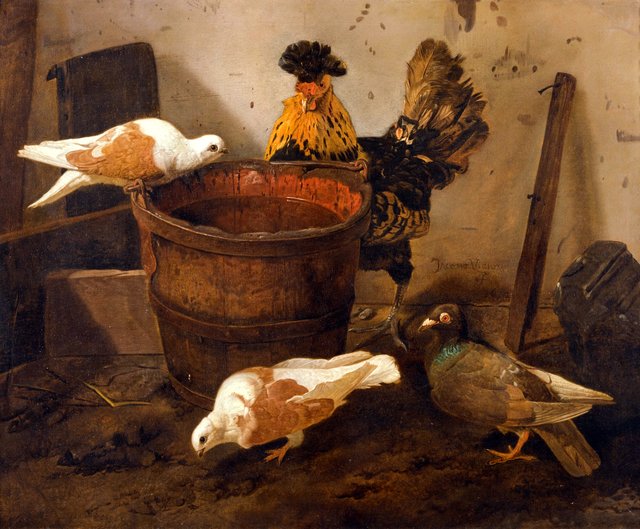 Three pigeons and a rooster by a pail of water by Jacomo Victors