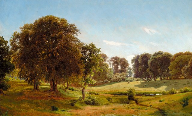 A plain surrounded by tall trees. by Anders Christian Lunde