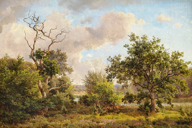 A summer day at Bøllemosen. by Anders Christian Lunde