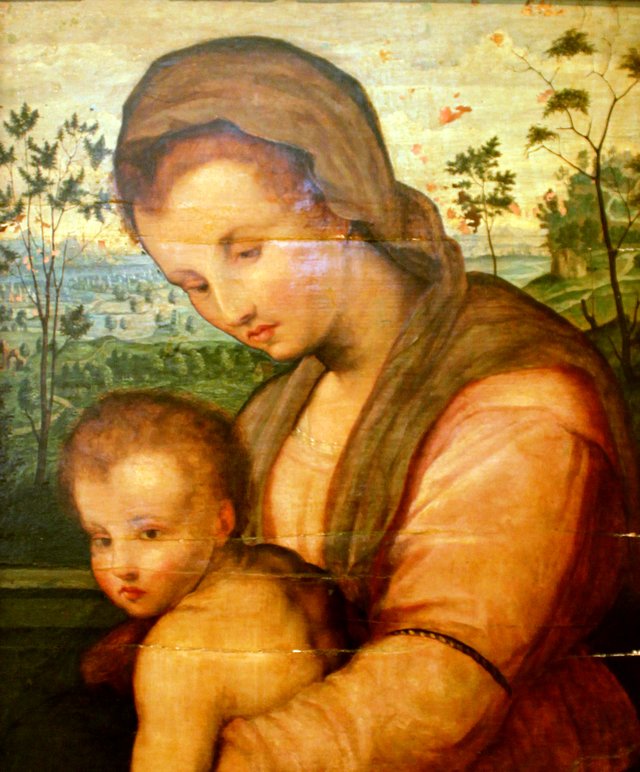 Madonna mit Kind. by Andrea del Sarto
