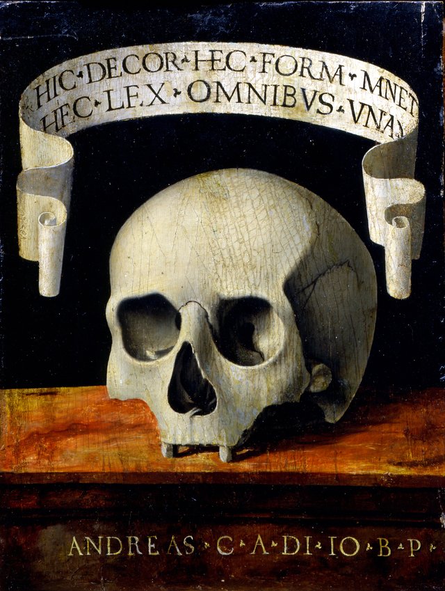 Portrait of a Man - Memento Mori by Andrea Previtali