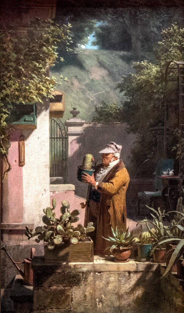 The Cactus Enthusiast by Carl Spitzweg