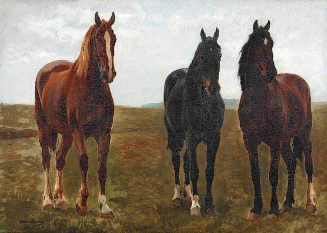 Three horses in a field. by Otto Bache