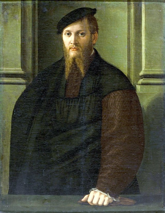 Portrait of a Man by Franciabigio