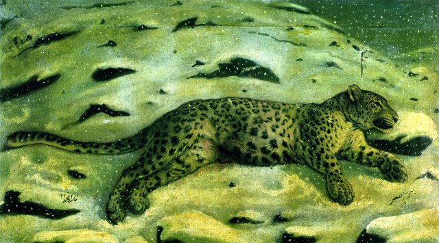 Hunted Leopard by Kamal-ol-molk