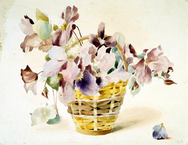 A basket of Clematis by Alexandra of Denmark