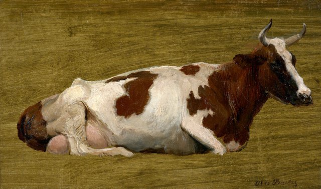 Study of a cow lying down. by Otto Bache