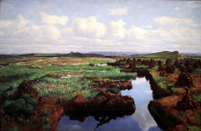 Peat Marshes at Jæren by Kitty Lange Kielland