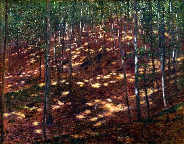 Sun in Forest by Antonín Slavíček