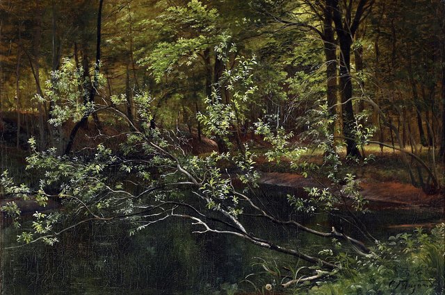 View from a forest lake in the shadows. by Carl Frederik Aagaard