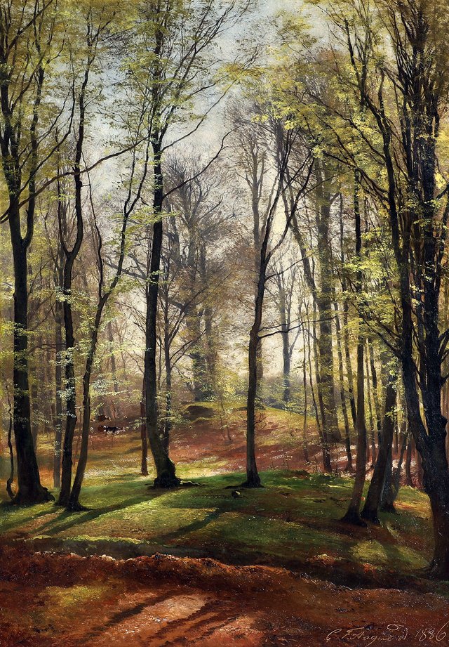 View from a forest with tall trees. by Carl Frederik Aagaard