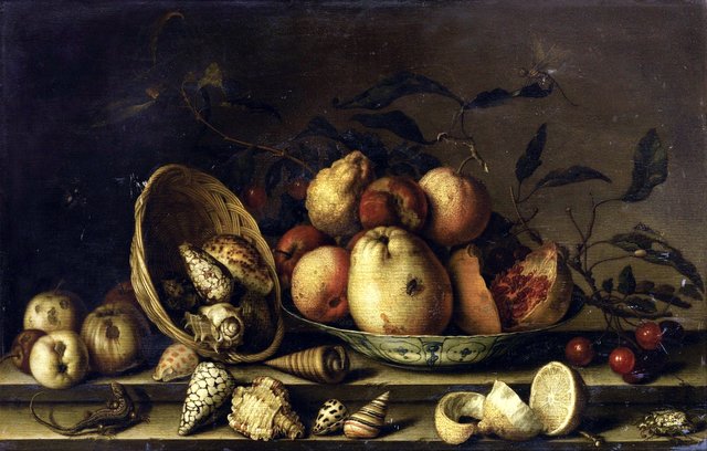 Still Life with Basket of Shells, a Plate with Fruits and Insects by Balthasar van der Ast