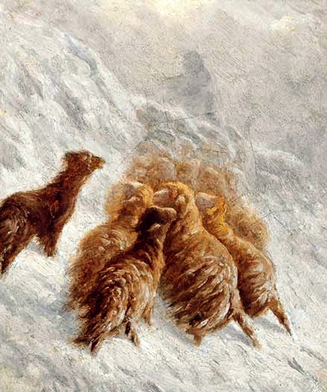 Sheep in the snow by August Friedrich Albert Schenck