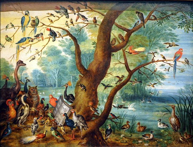 Birds' concert by Jan Brueghel the Younger