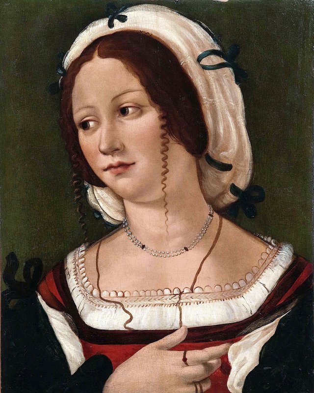 Portrait of a Lady by Francesco Francia